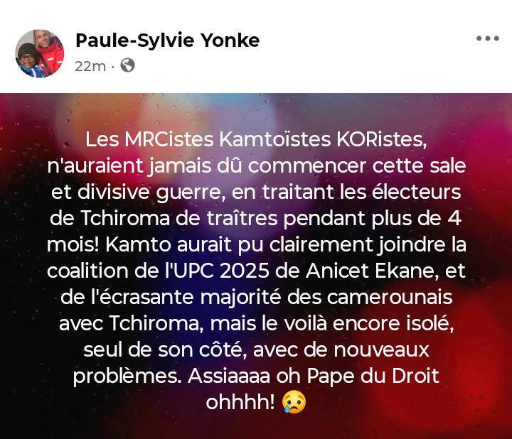#IssaTchiroma #MauriceKamto #Cameroun #Cameroon