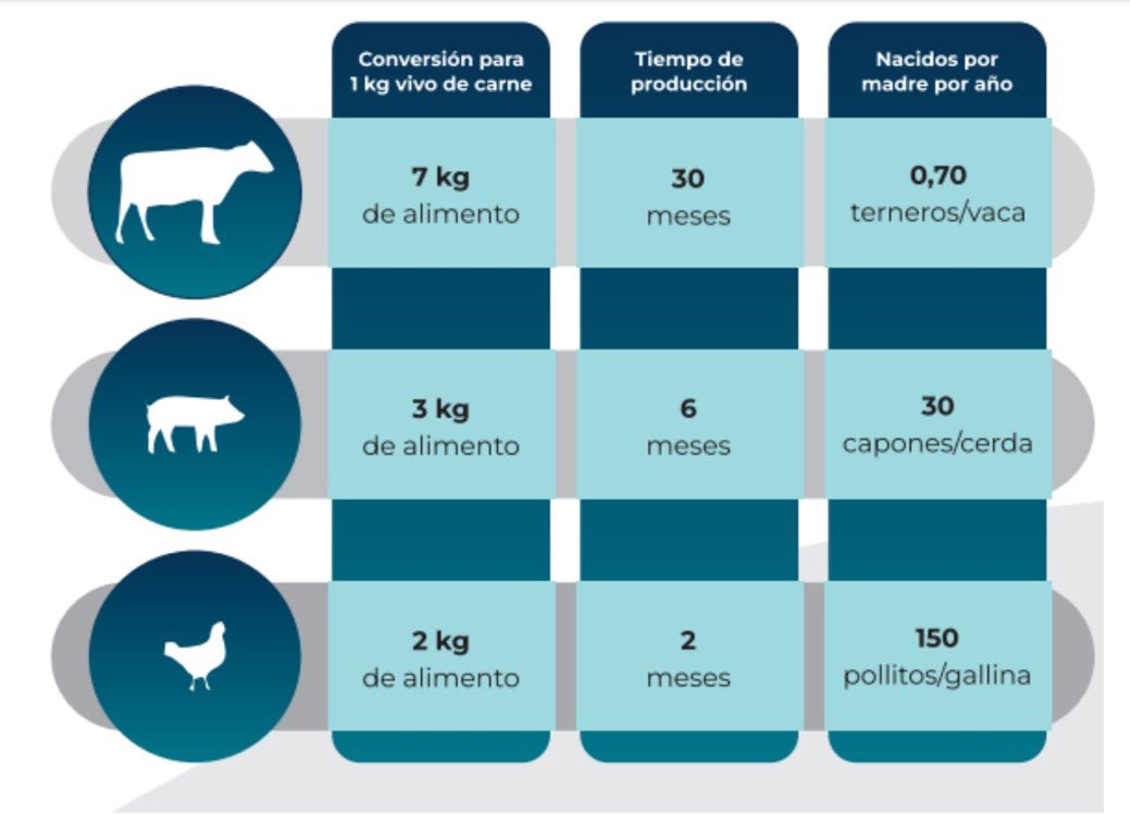 ©️ <a href="/DavidMiazzo/">David Miazzo</a> pollo / cerdo / vacuno Inversión y tiempos