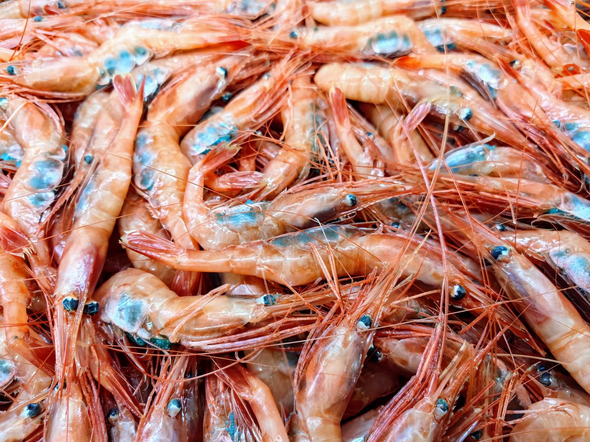 魚忠長久手店の苅谷です
本日はコレ！
【鳥取県産 生あまえび】
甘くてプリップリで
最高に美味しい！
是非お求めください
ご来店お待ちしてます
#uochu
#ピアゴパワー長久手南店
#魚忠長久手店