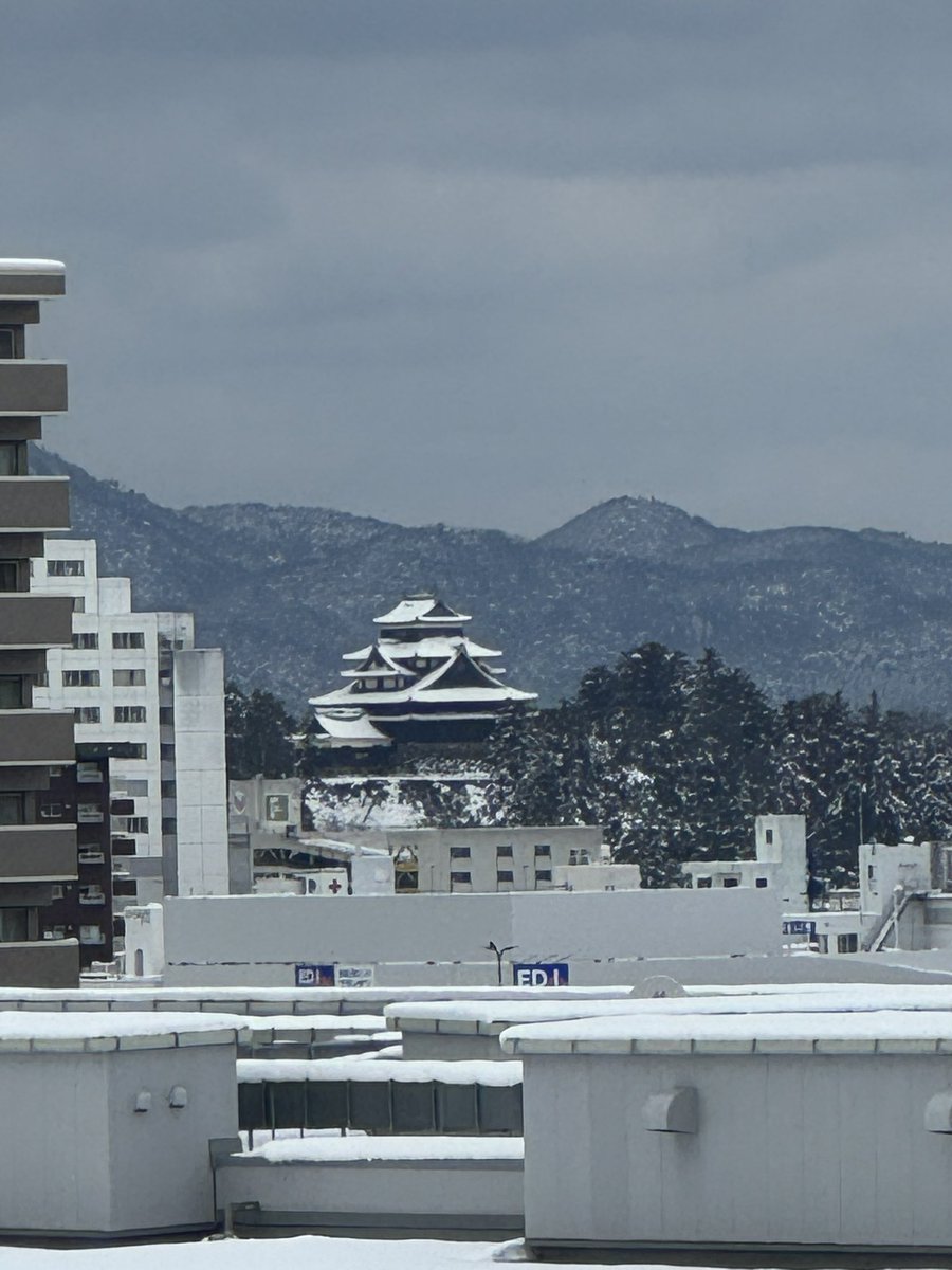 雪化粧してるとうちから天守閣がよく見えるなあ