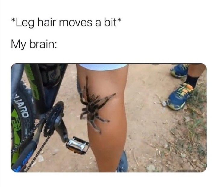 Brandon 🦂 (@thuislander) on Twitter photo 