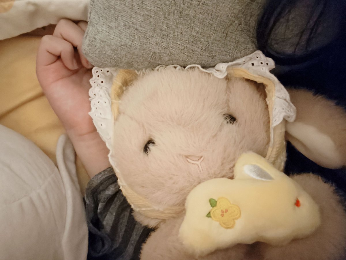 猫猫牌小鸟烤袜袜🧦(天天找老婆要吃炸鸡) tweet media