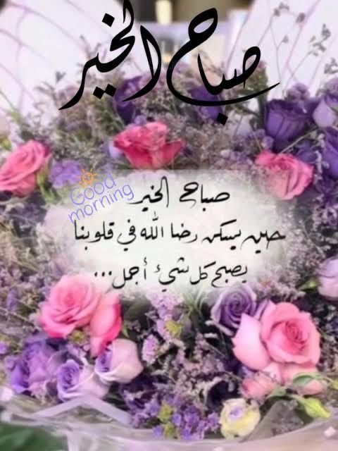 mona_almallah's tweet photo. https://t.co/YHOmX5LNym