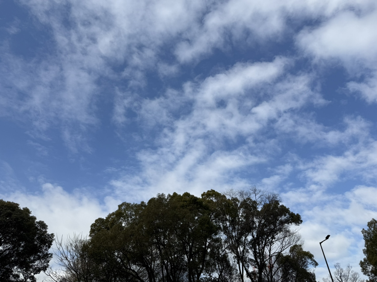 こんにちは！

この週末は各地で大雪のニュースが続出していましたね。交通機関の乱れや除雪作業で大きな影響を受けた人はお疲れ様でした😅
寒波の影響はまだもう少し続きそうです。暦の上では春になりましたが、本格的な春の訪れまではまだまだ遠そうです…。

本日もよろしくお願いします！