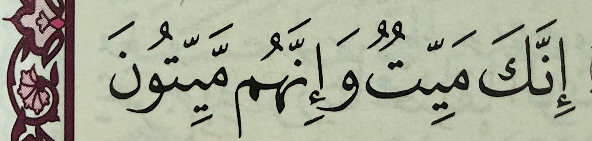 “Verily, you will die , and verily, they (too) will die”

— Al Qur’aan [39:30]