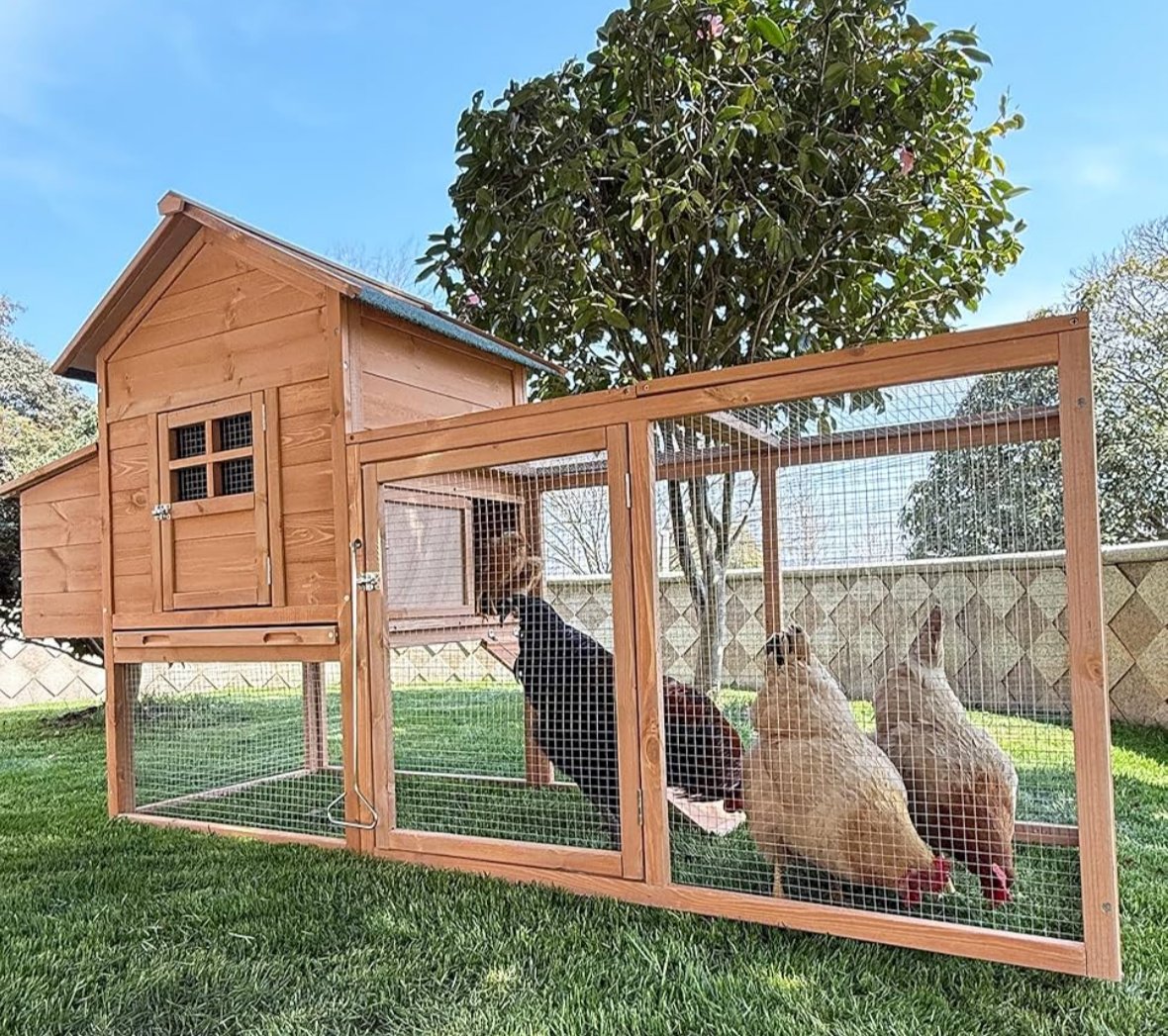 yoda_baganas's tweet image. Futuro CECOT de @BArevalodeLeon...