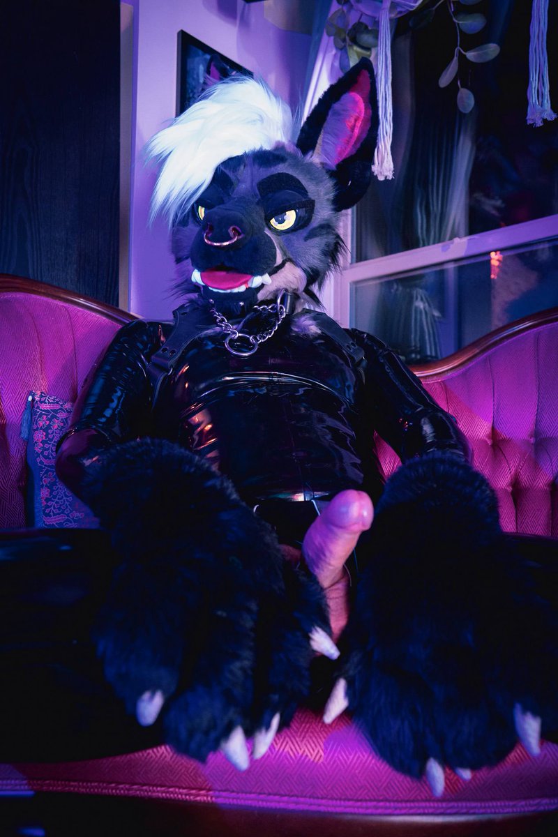 MeanYeenAD's tweet photo. Its my birthday!!🔥✨

if you want to help celebrate share a picture that makes you feel sexy! ✨💦 https://t.co/EELRk73Flu