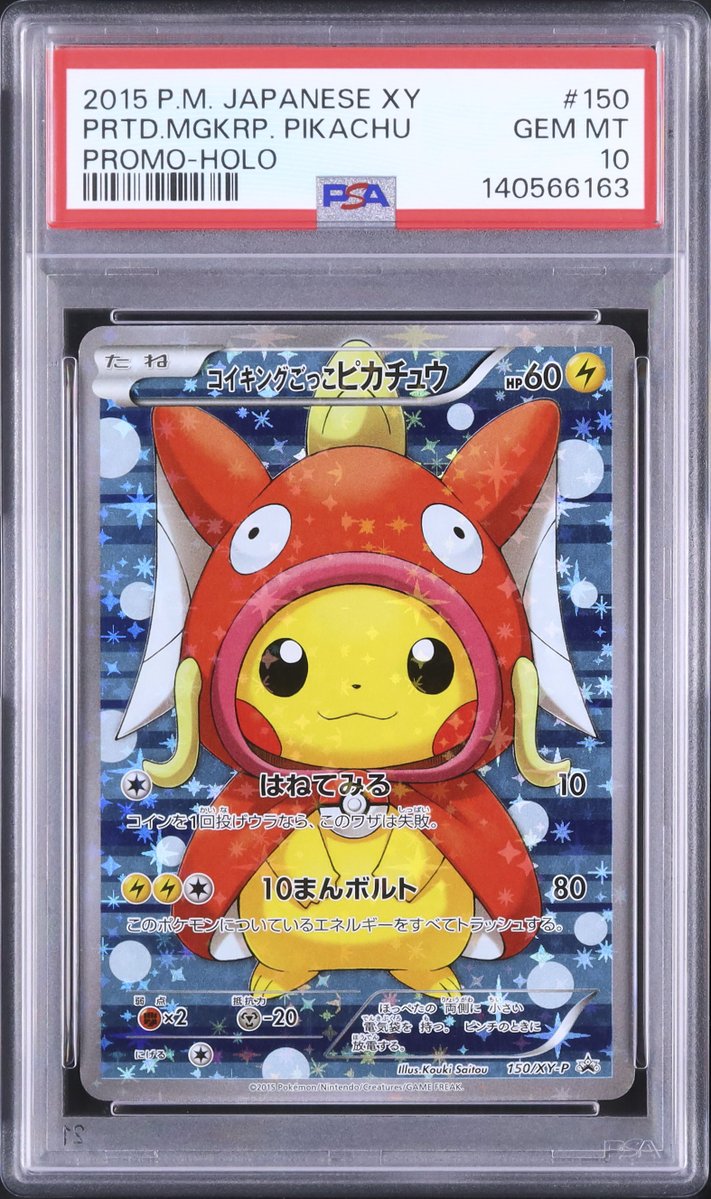 ◇ ────────── ◇ 📸 本日のピックアップ