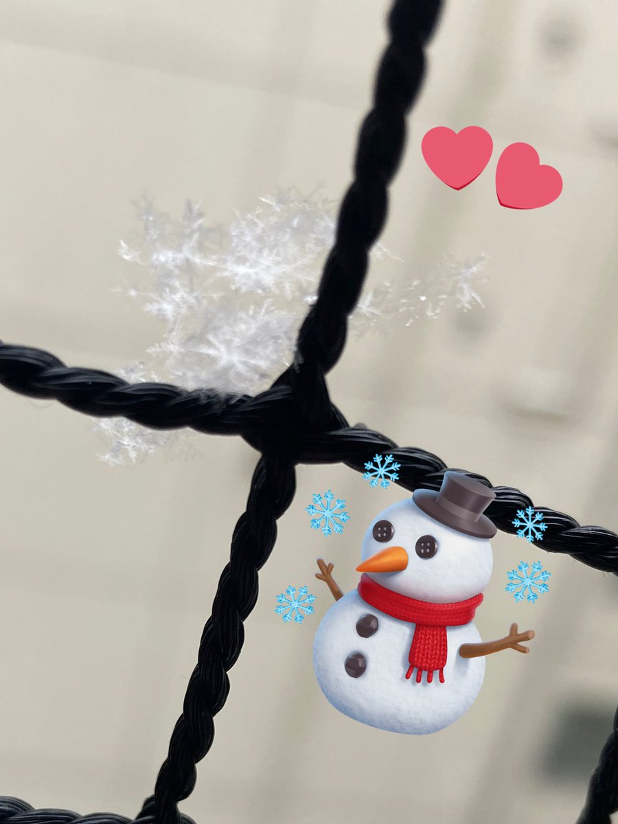 昨日の雪すごすぎた……！ちゃんと雪の結晶みたの久しぶりかもーきれい！❄️
