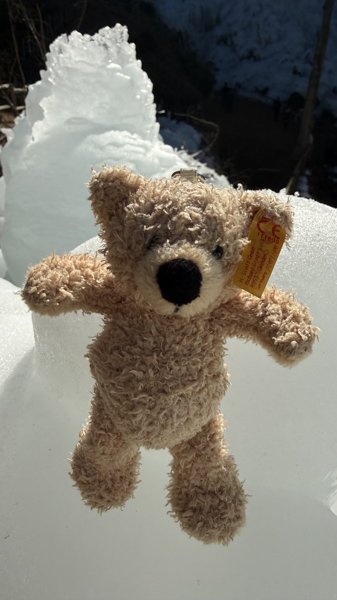 Rちゃん🪽CBR 600RR (@R_CHAN_25) / Posts / X