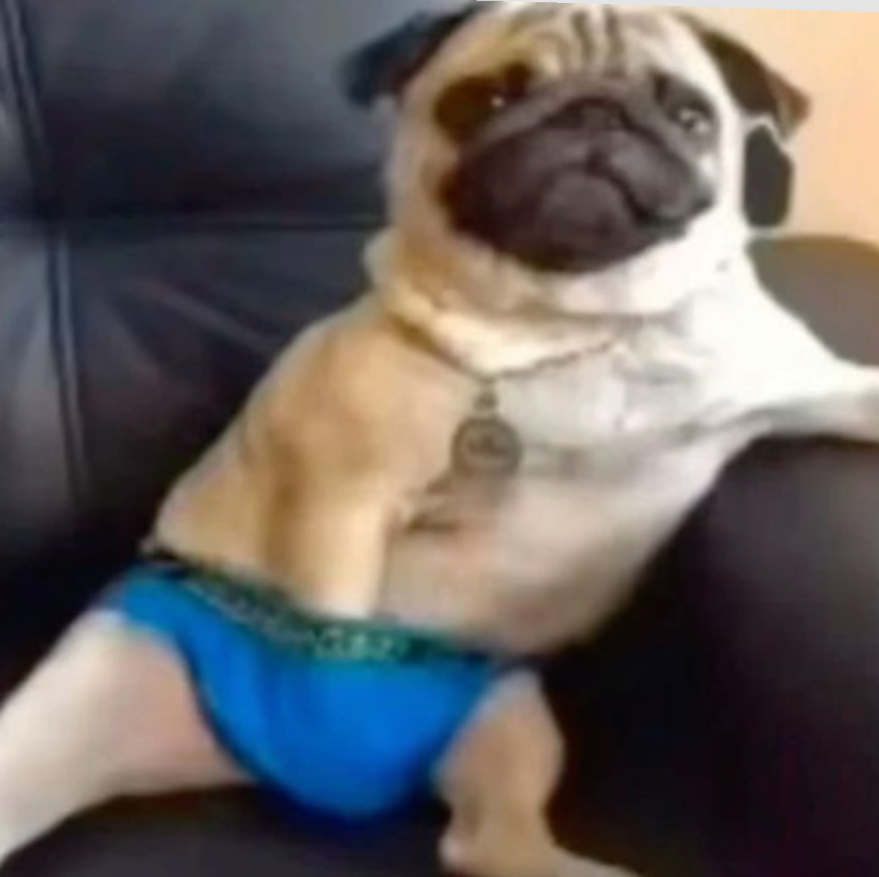 gooba zooga tweet media