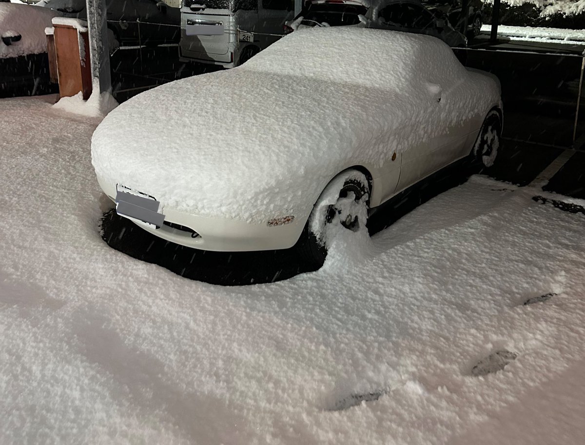 tempachiNA's tweet photo. とんでもねえ寒波で雪見だいふくに
ベルトラインまで積もってしまうとドア開けたくなさすぎてリトラ遊びはしませんでした…無念… https://t.co/CQkhdNVjTQ