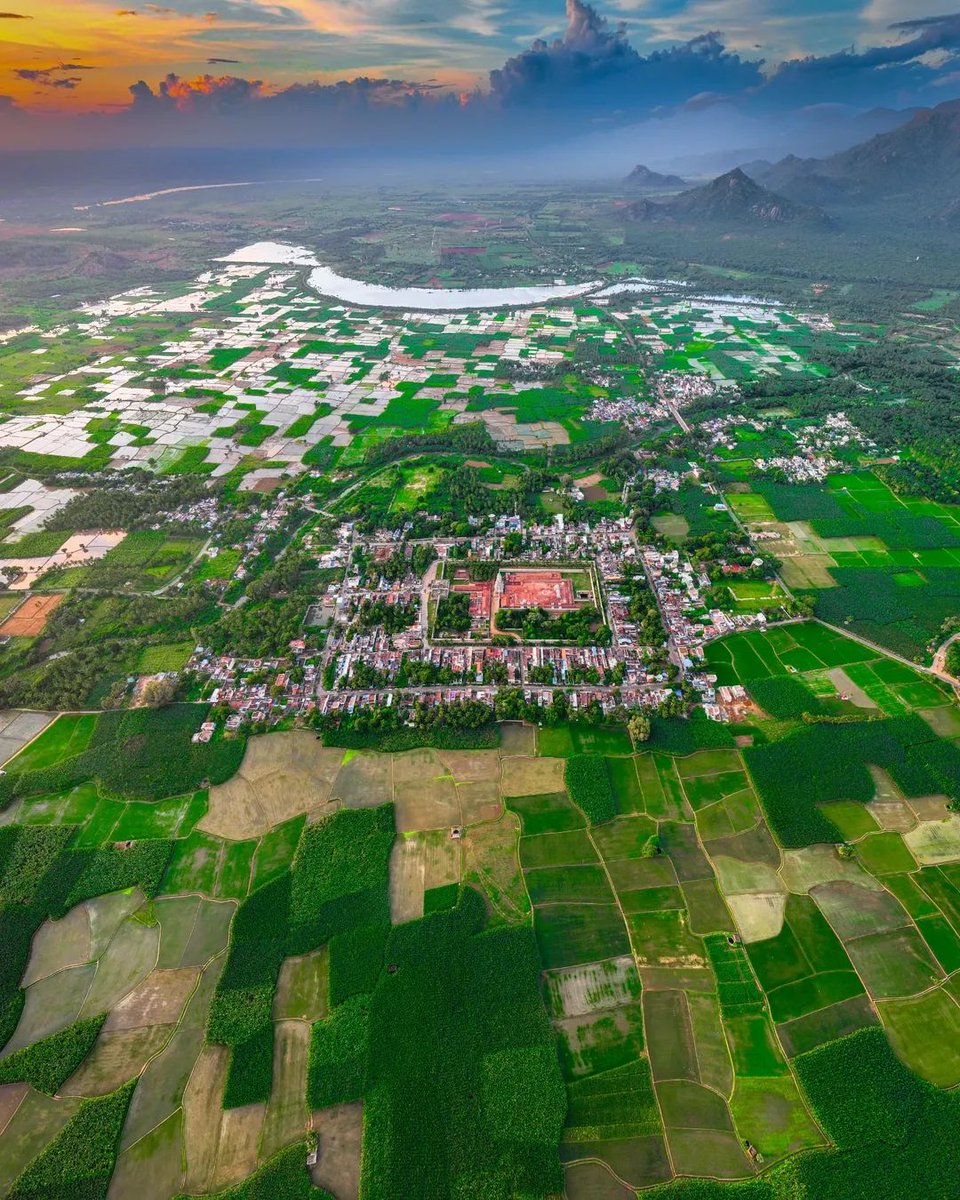 A sacred land guarded by paddy fields and 3,000 years of history.
நெல்லை சீமை🔥 
#tirunelveli #tamilnadu #paddy #temples