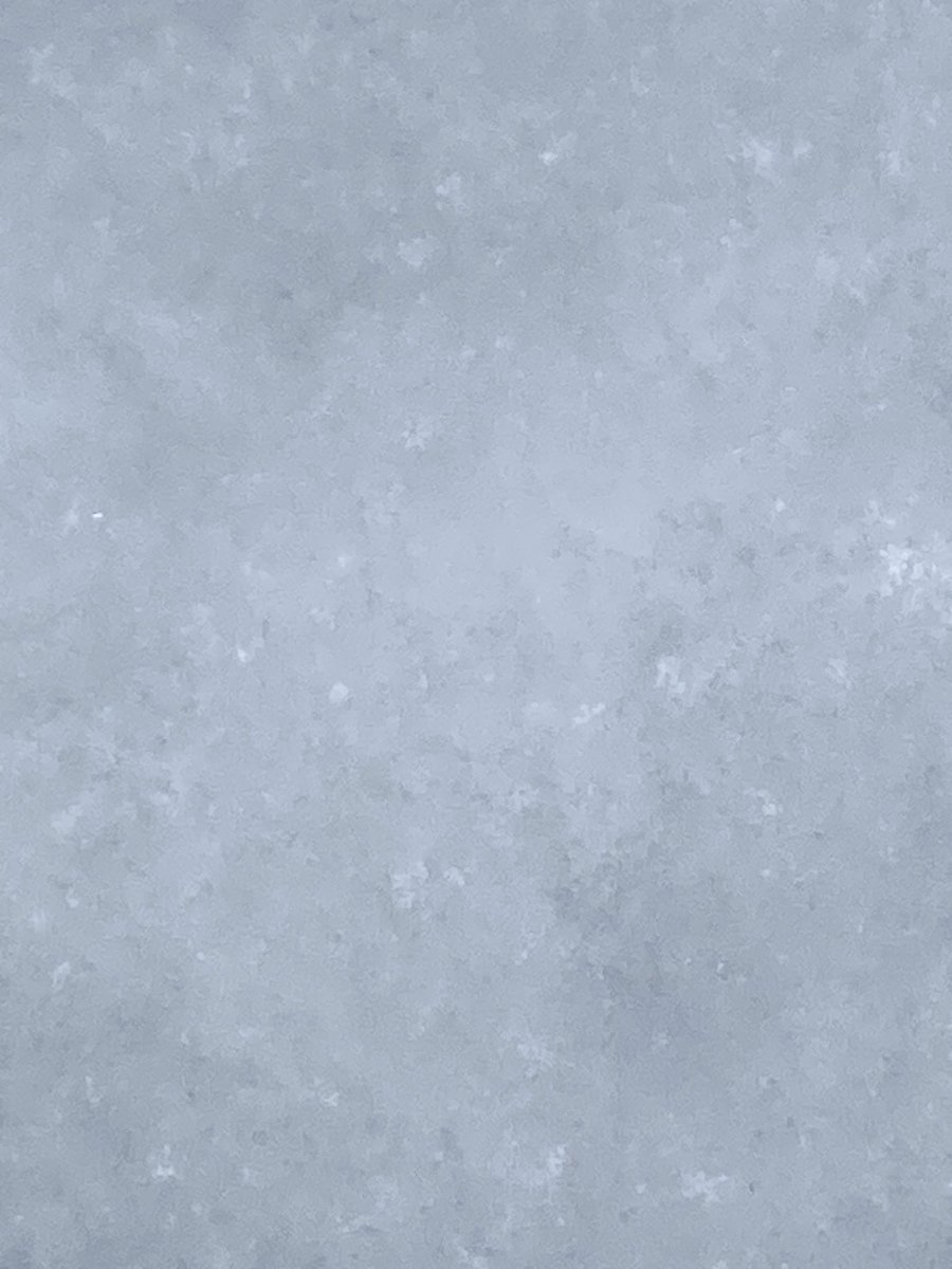 昨日の散歩…まっさらな雪を見ると破壊したくなるのは性格悪いのか、ストレス溜まってるのか？両方だな