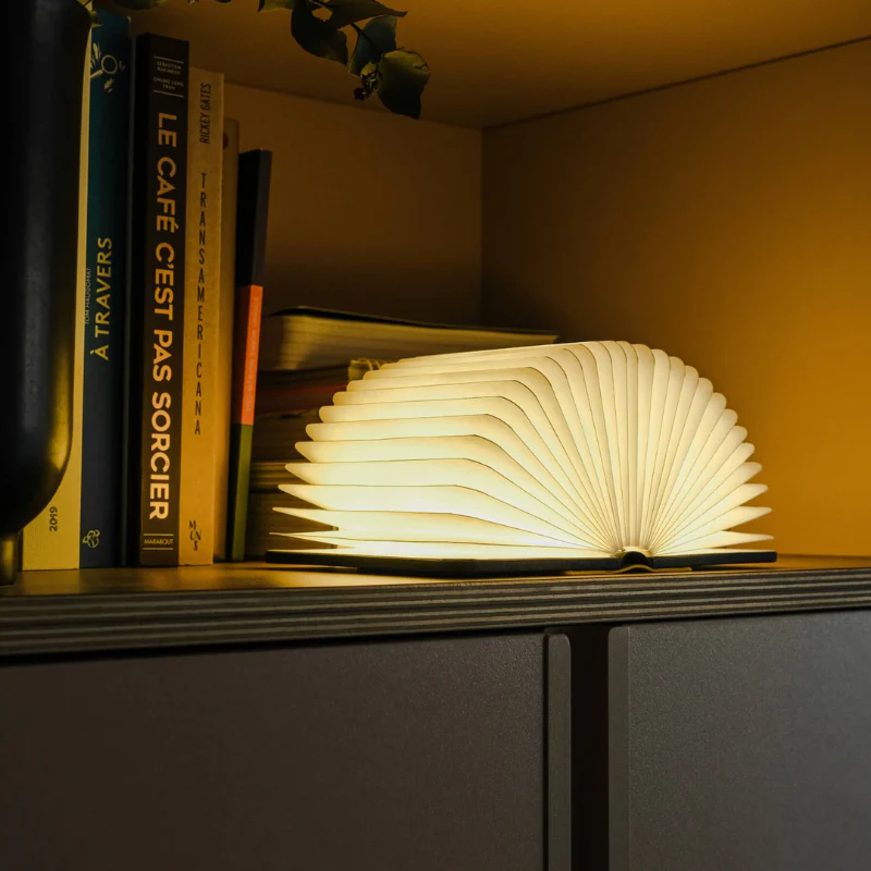ANKERALLEO's tweet image. A modern lamp for books makes reading easier and more comfortable 📖✨
Perfect for desks, bedside tables, and cozy reading corners.
👉 ankeral.com/modern-lamp-fo…

#lampforbooks #readinglamp #booklight #modernlighting #Ankeral