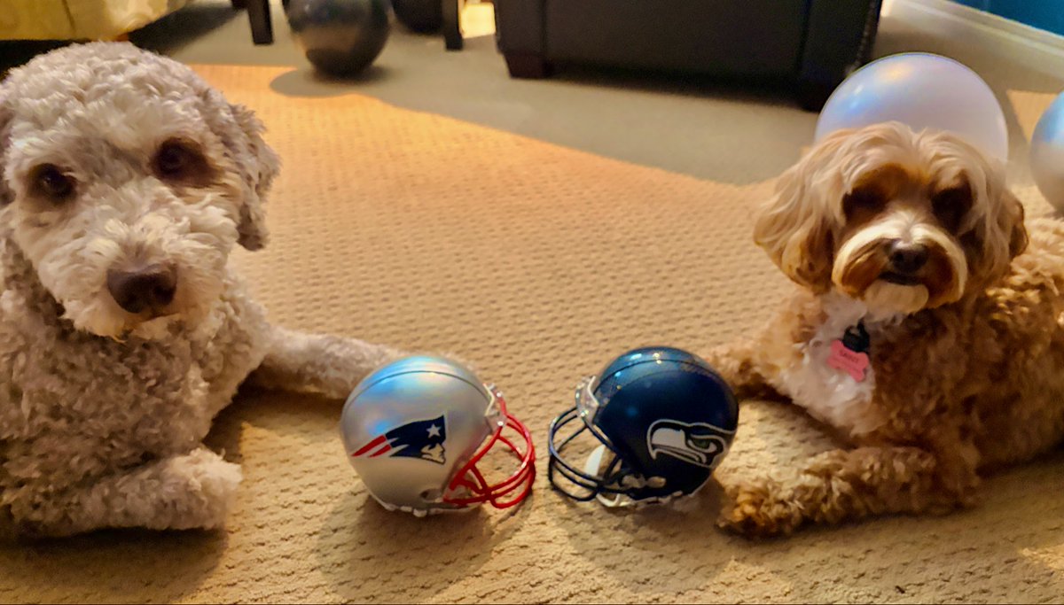 Sunday Funday! #SuperBowlLX