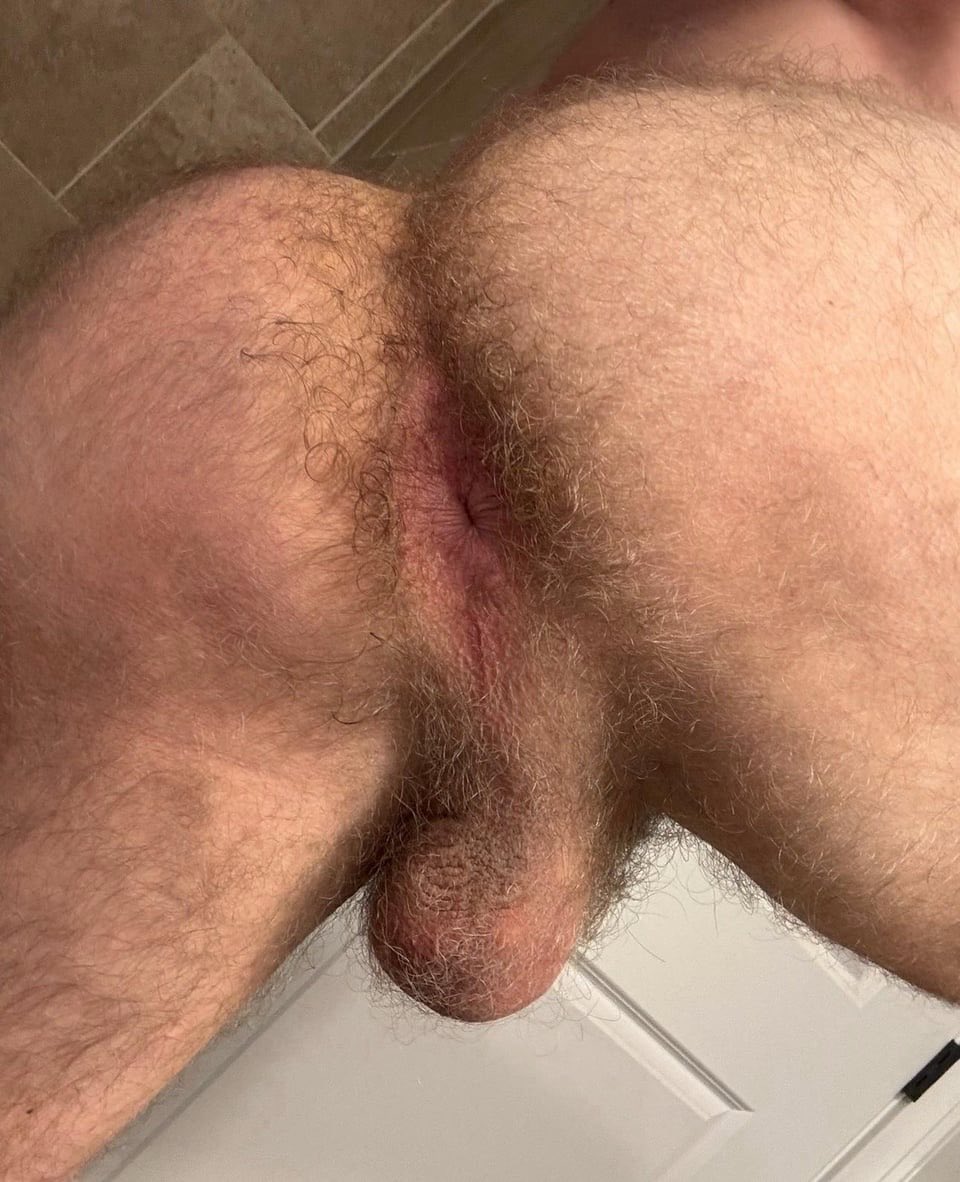 Bros & Fags & Filth tweet media