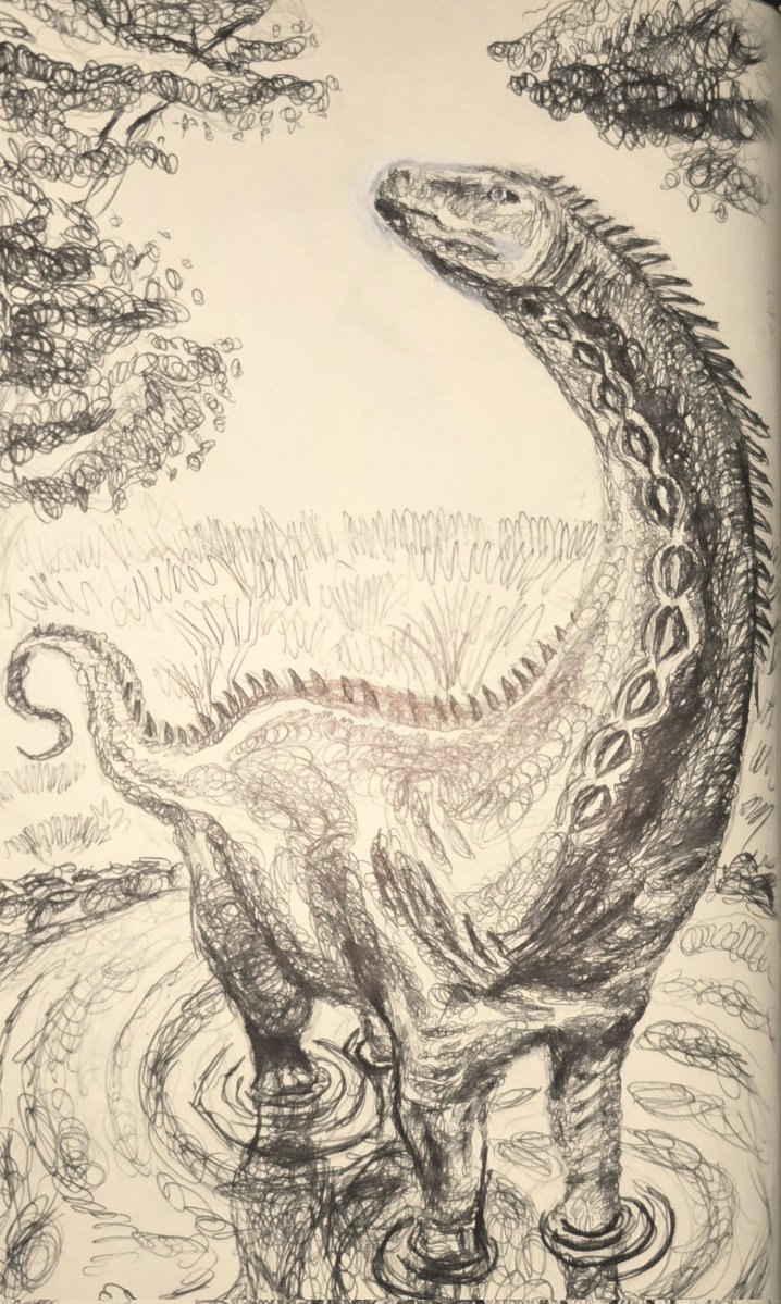 Apatosaurus! #paleoart