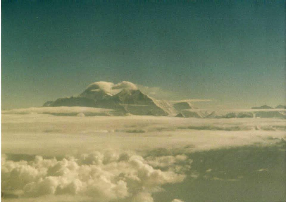 OneBigMonkey tweet media