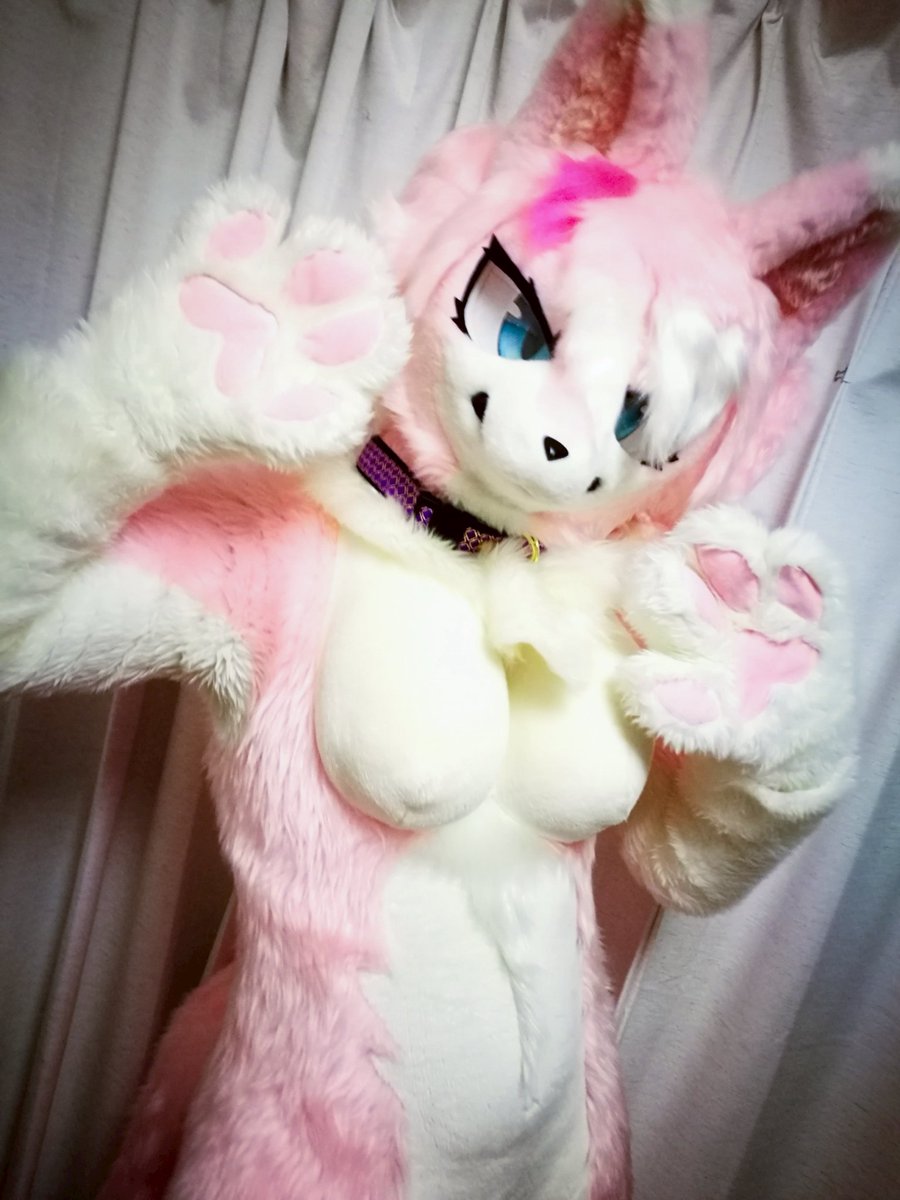 おネムデス？🛌
#サクヤこの花
#ケモノをみて今週もがんばりマンデー