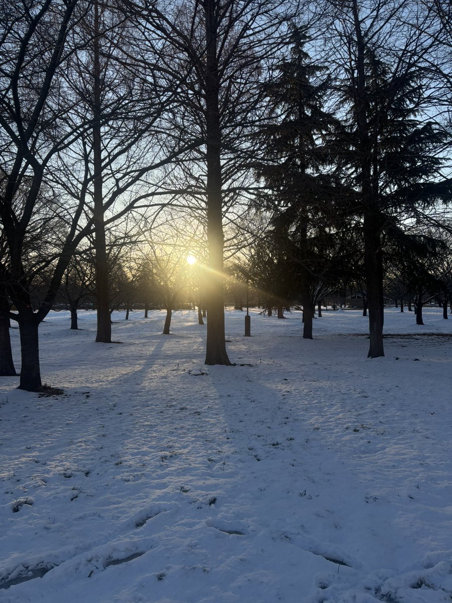 今井杏寿 (@anju_imai) / Posts / X