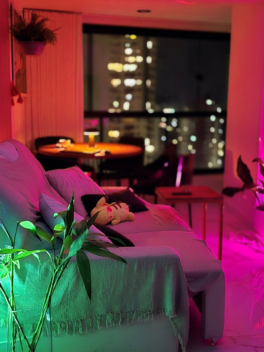 XLclrs's tweet photo. Lembrei do dia que recebi uma amiga aqui em casa e ela disse "amiga a tua casa é meu sonho" e só aí que me toquei que também era meu sonho e agora tô aqui, todo dia lembro e fico romantizando meu cantinho que fiz com todo carinho pra mim https://t.co/MD0q6Q3GEk