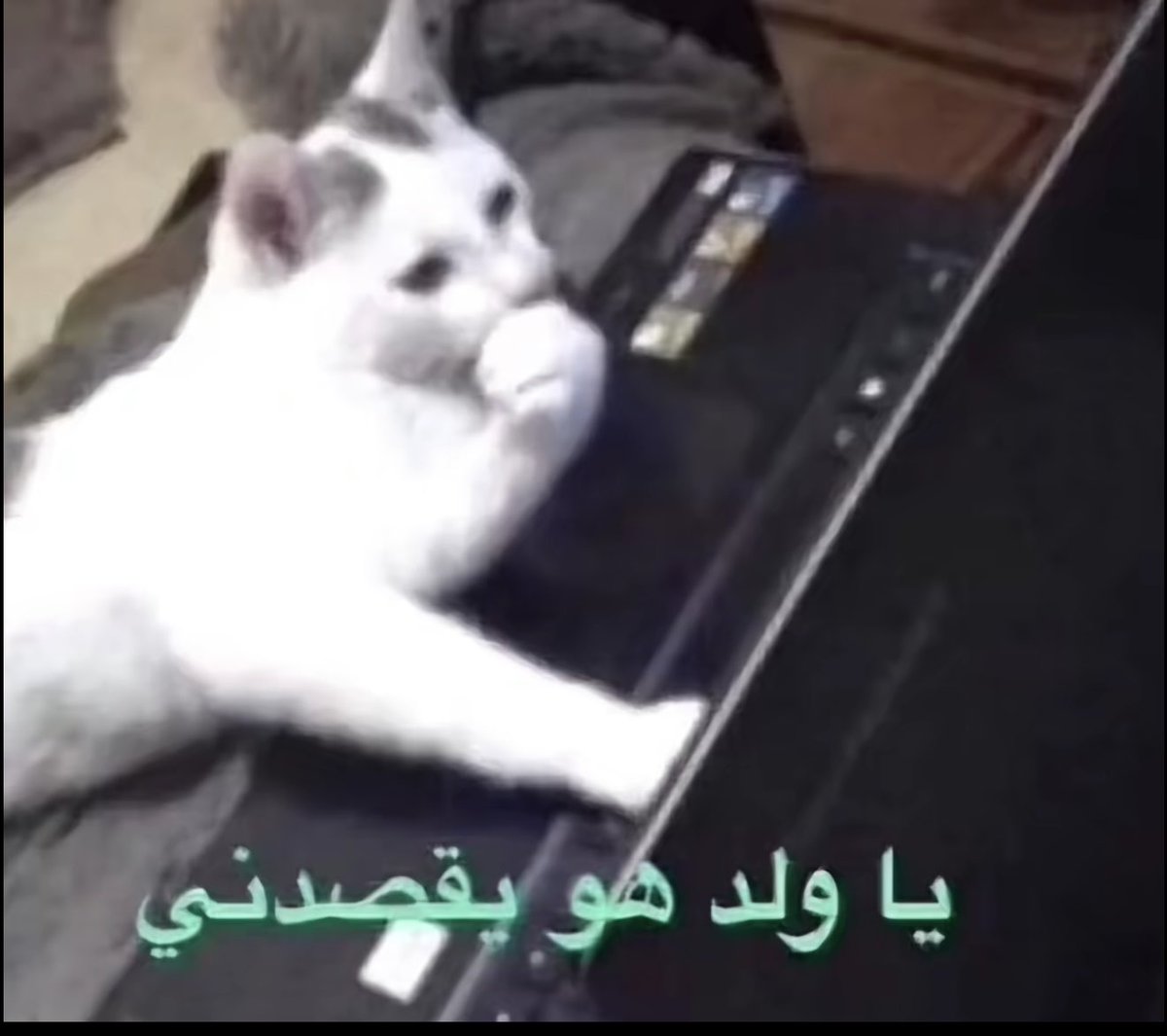 ☕️🩺حسين tweet media