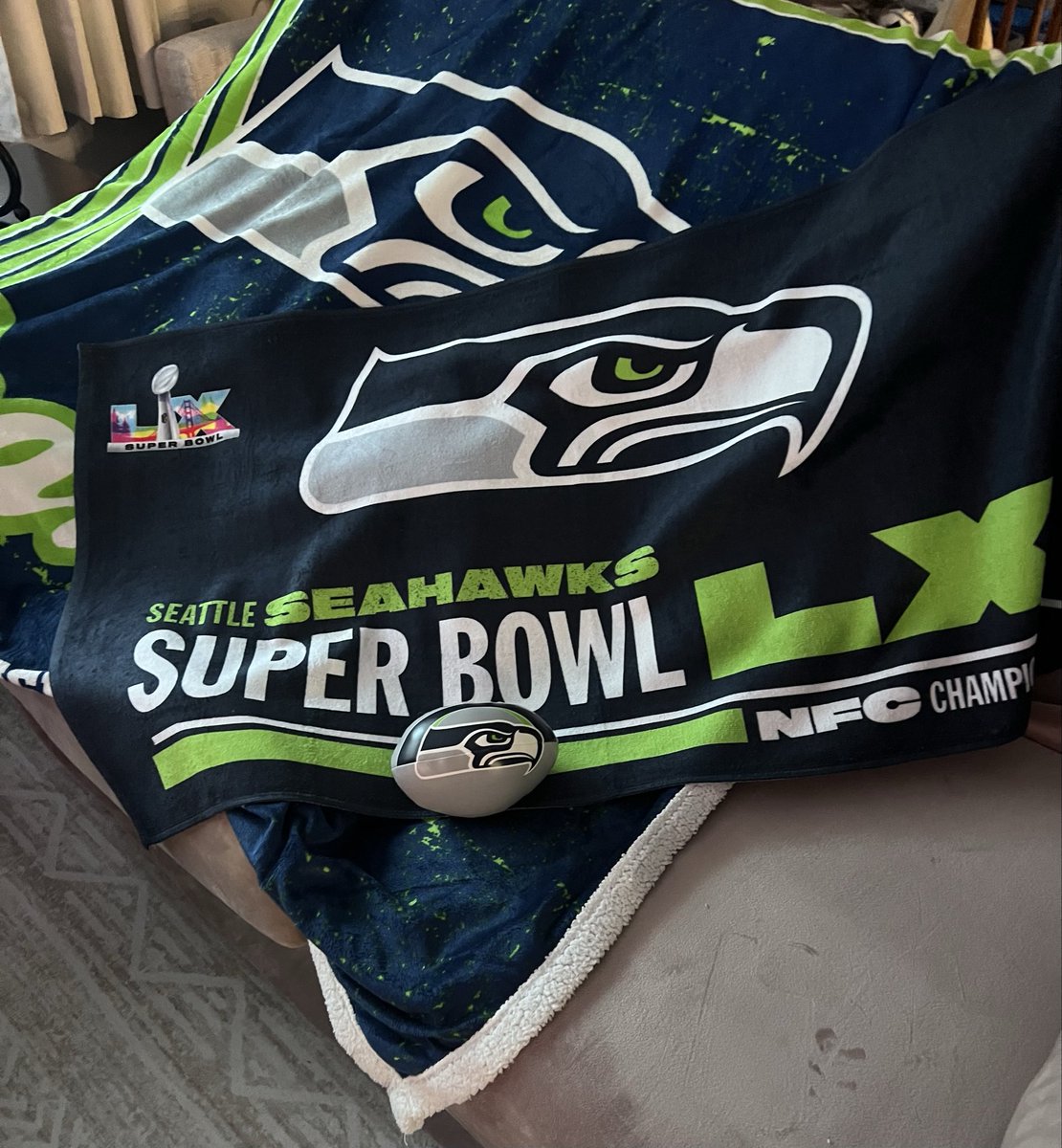 Are you ready Hawks?  GO <a href="/Seahawks/">Seattle Seahawks</a>!!! #NFL #SEAHAWKS  #SuperBowl