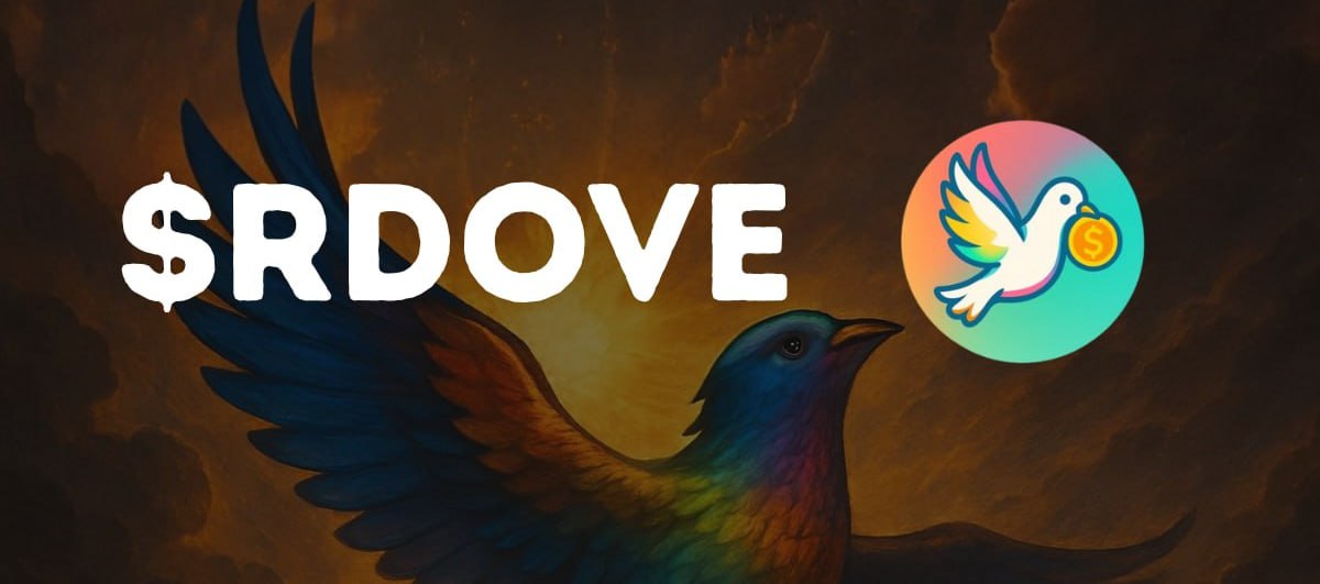 There are many imposters, but only one real #RAREDOVE!!!

Official communication channels and socials are all verifiable on our official website, raredovecoin.com

Do not engage with anyone messaging you and claiming to be me.

Never give anyone your seed phrase and never