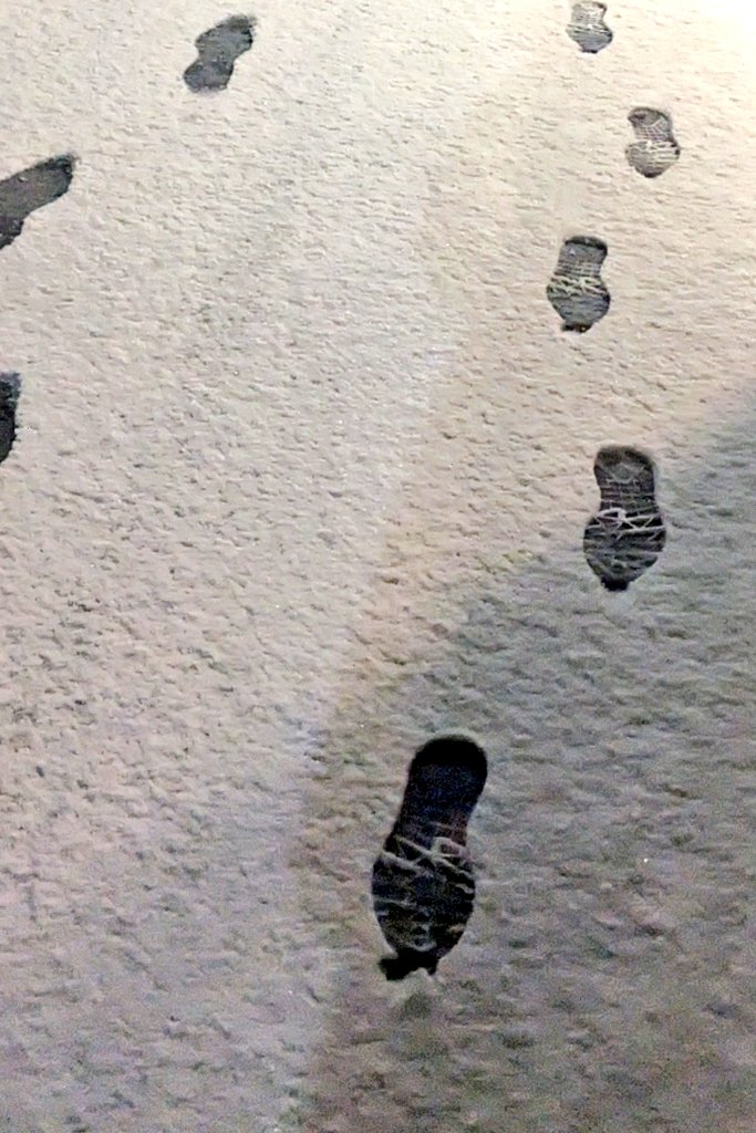 sapandapanda's tweet photo. 雪だ！✨
人生初の胃腸炎中、雪にはしゃげる心は持っていました… https://t.co/avTZHYCKNG