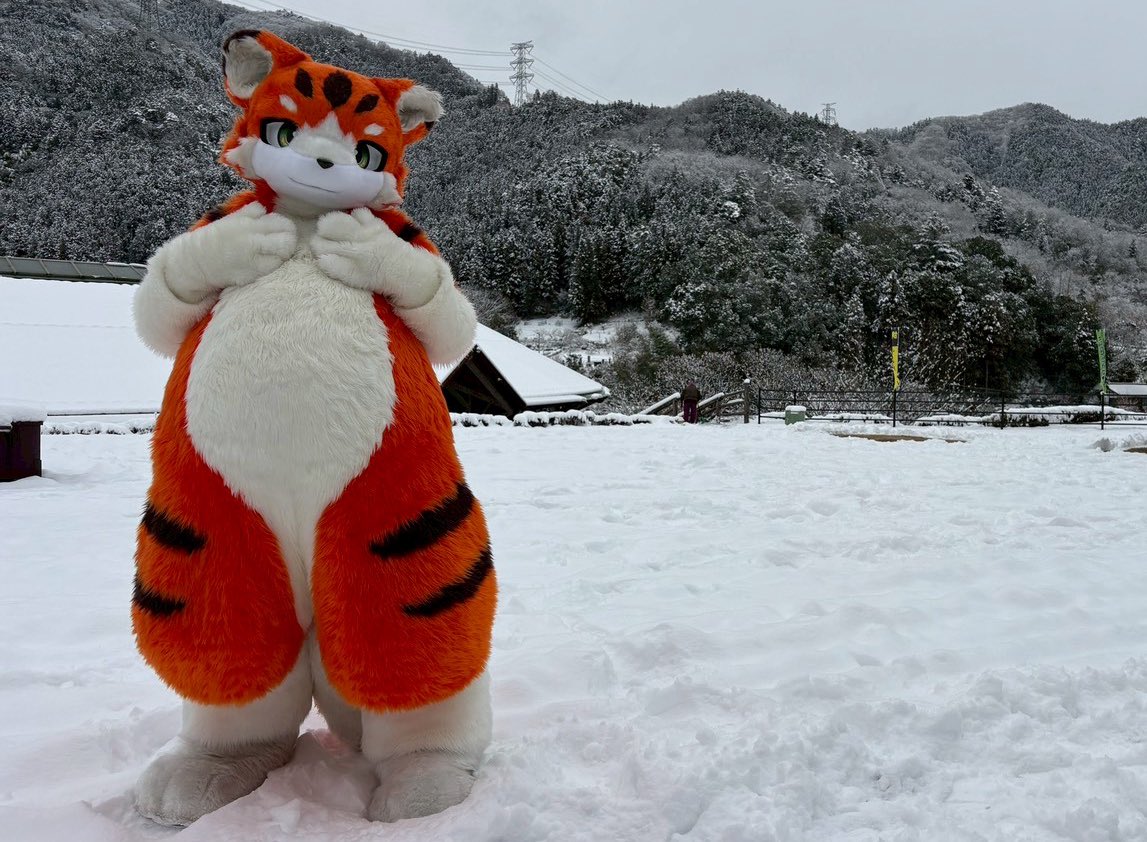 けい：NEXT→はつじゅーかい tweet media