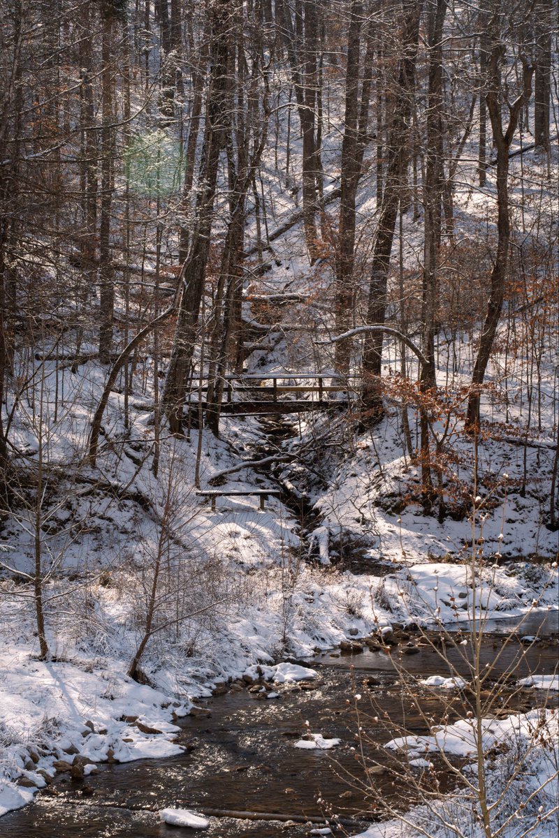 AmericanExpat6's tweet photo. A snow-covered road winds through Kanawha State Forest on Feb. 6, 2026, following winter weather that moved through the region earlier in the week. https://t.co/qNUDdc0lBD
