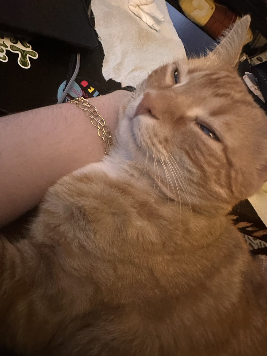 SOOF 🥐 tweet media