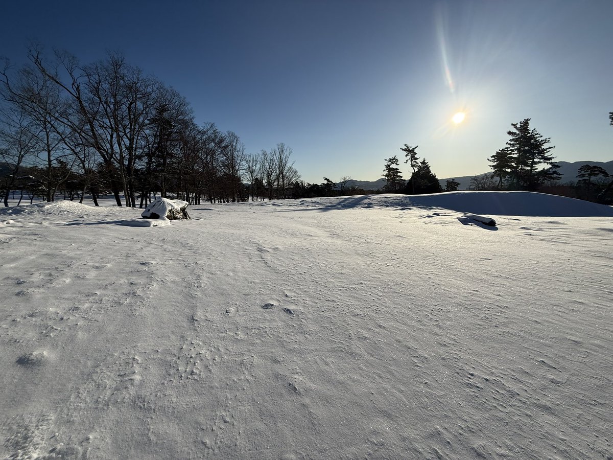 rr321G03's tweet photo. 綺麗だなぁ...w
20cmくらい積もりましたね⛄️ https://t.co/VgB7McCepV