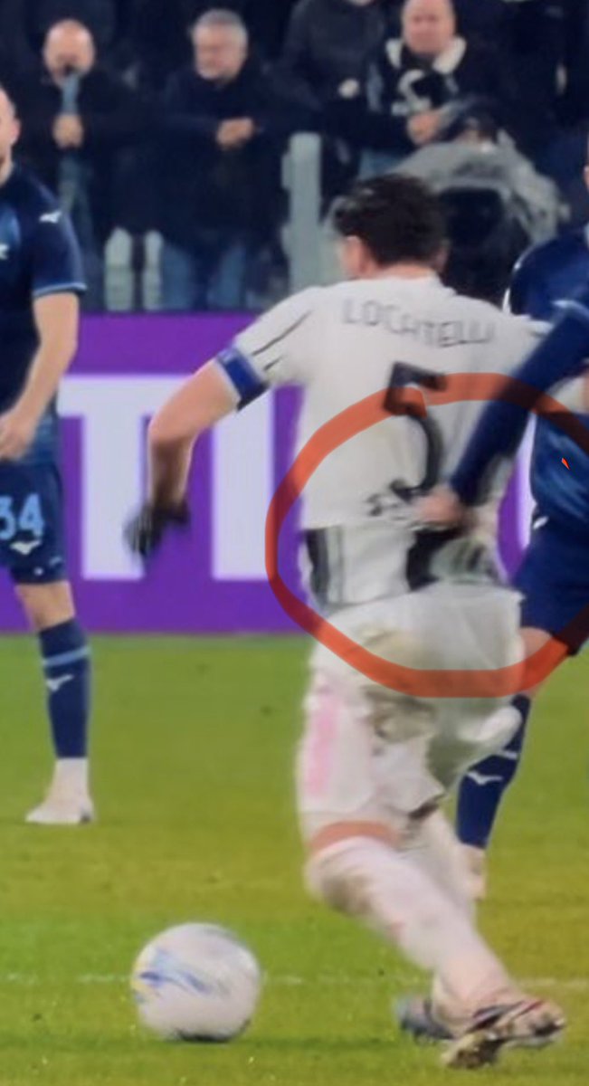 Maurizio Pistocchi tweet media