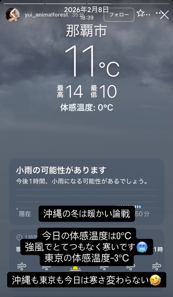 chatte_calico's tweet photo. 「ラブラブ」じゃないよ

猫達は寒いから暖をとるため寄り添ってるんだよ...

なぜ分からない？

暖房はエアコンだけ？
だだっ広い部屋、冷たい床に毛布
カーテンの無い窓
寒いよね...

次々と猫達が体調を崩してしまうのは当然の環境
#アニマルフォレスト https://t.co/0A2kOqj2B8