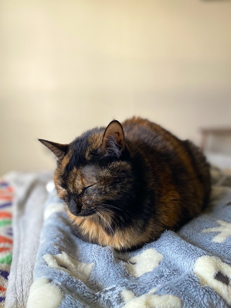 フミフミ後💕😌🍀