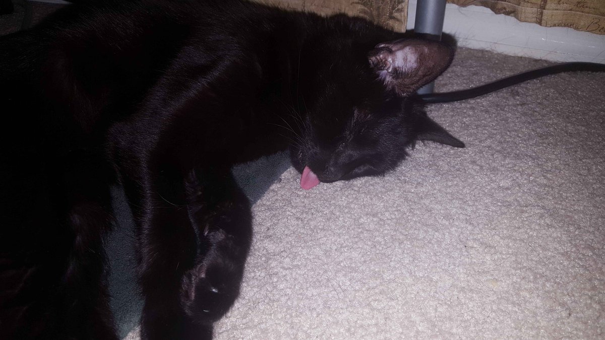 Syraxis 🐛✨| Monster Boy Vtuber tweet media