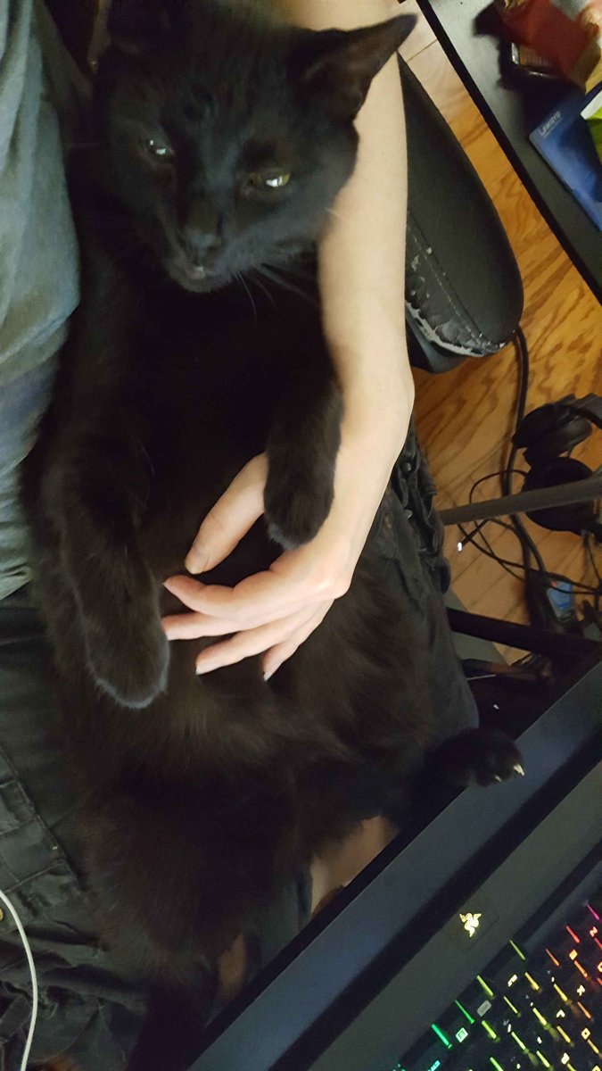 Syraxis 🐛✨| Monster Boy Vtuber tweet media