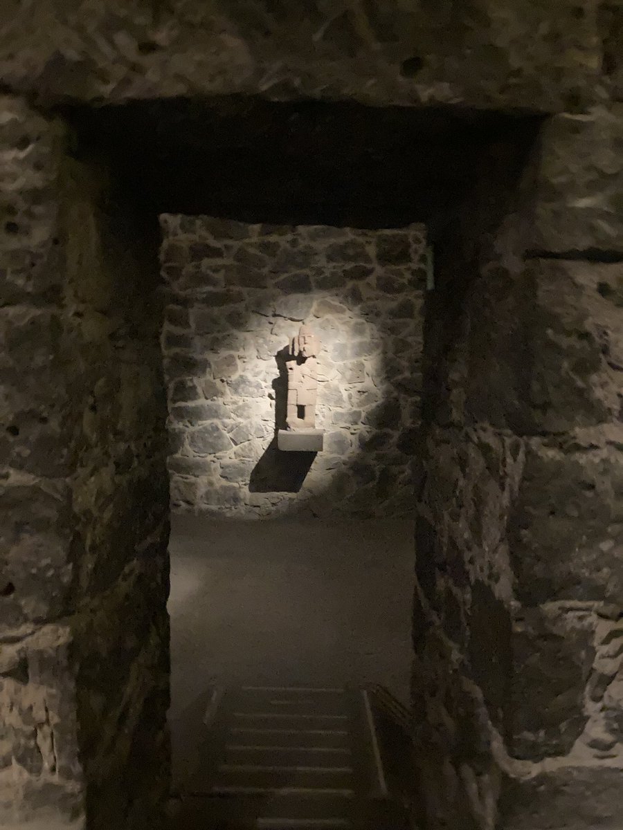 Javier Ibacache tweet media