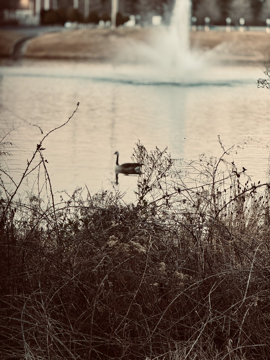 The weathers been nice today so i decided to go out and touch grass for most of the day instead of playing games or recording content for YT