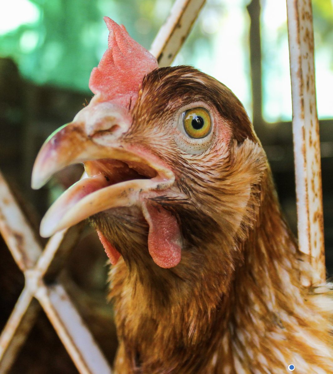 Neil deGrasse Tyson tweet media