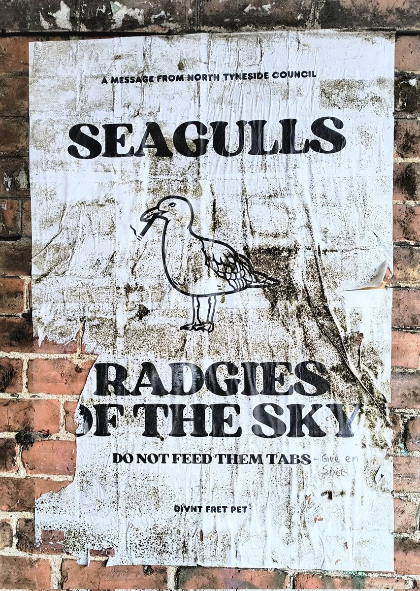 John Jobling tweet media