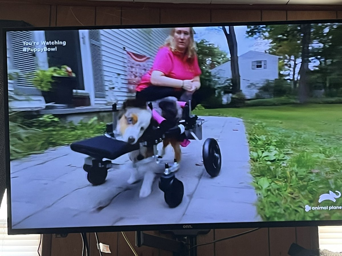 Man that’s a bummer. Just found out that Teigan died recently from pneumonia. Now I’m crying while I watch the Super Bowl 😢 #PuppyBowl