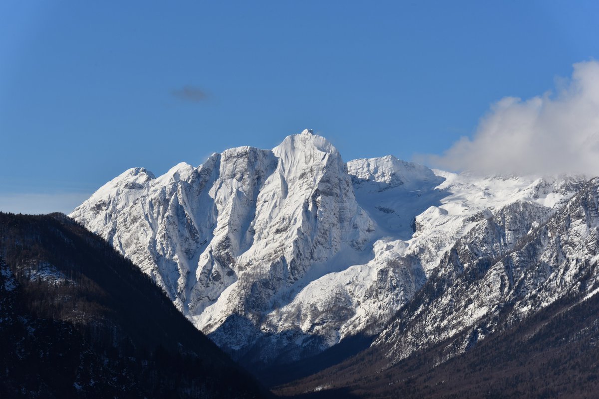 Stedilnik tweet media