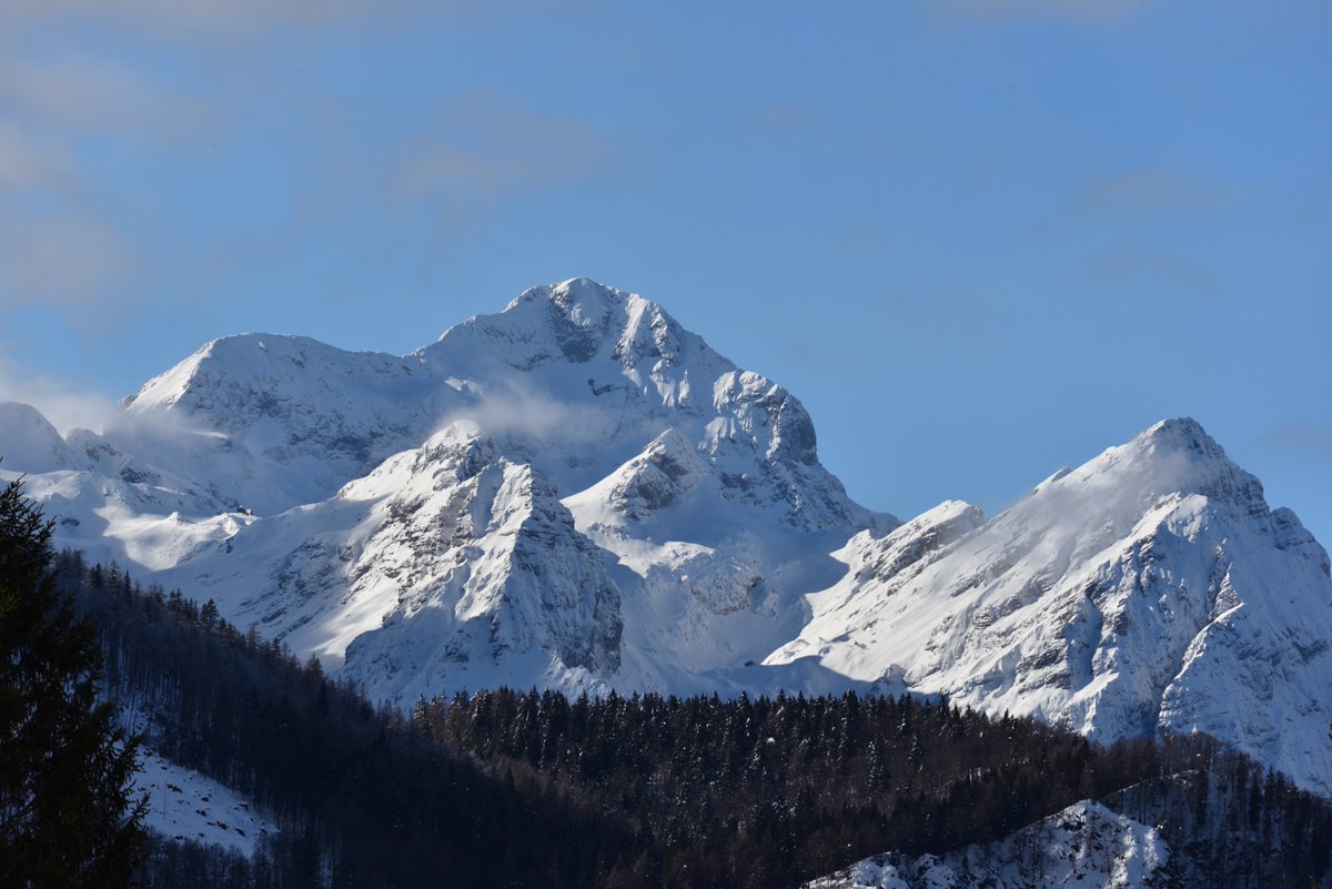 Stedilnik tweet media