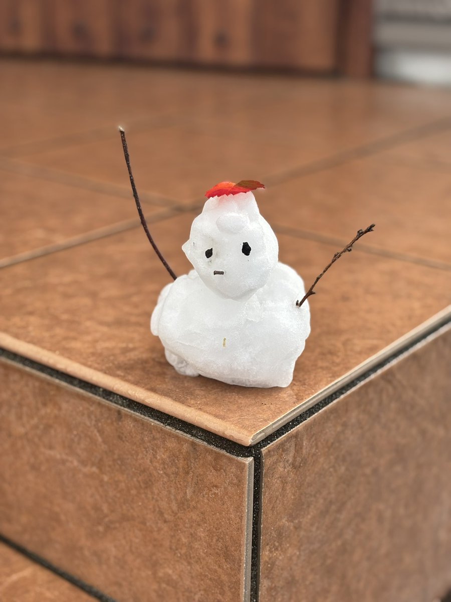 おはようございます☀
昨日作ったチビ雪だるま⛄️今朝もなんとか解けずにいてくれて、子供達は上着なしで元気に学校へ行きました😌

さて、今週も頑張りましょう🍵