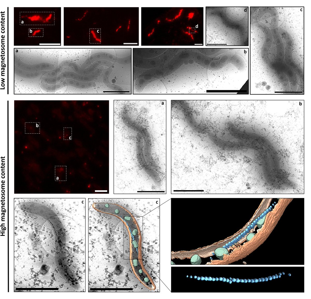 Product Manager tweet media