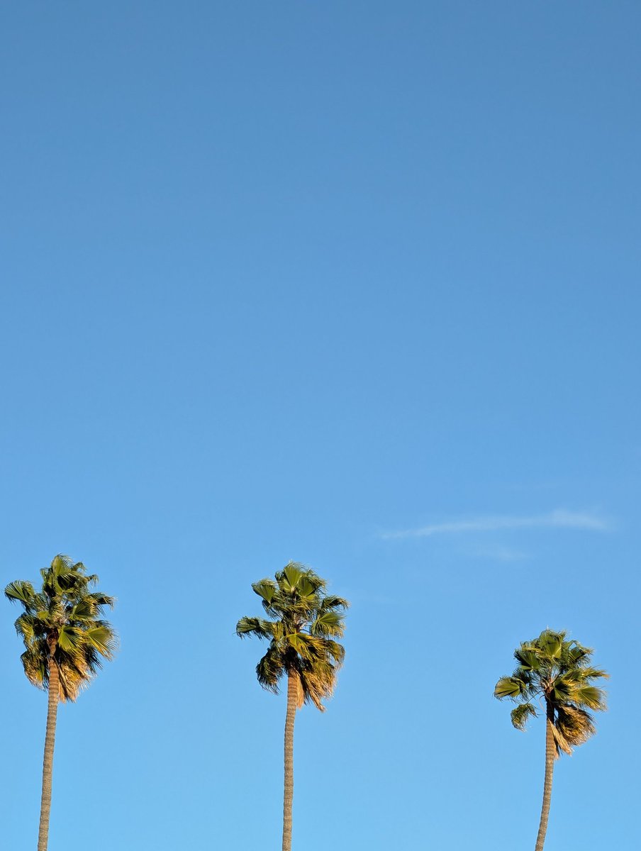 Cassian Horowitz tweet media