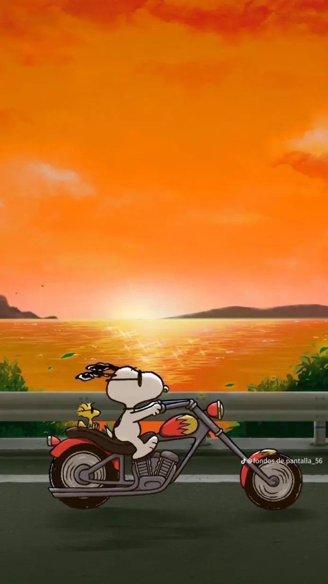 snoopylovers12's tweet photo. Snoopy 🐾🐶 https://t.co/vnc1aPh1GJ